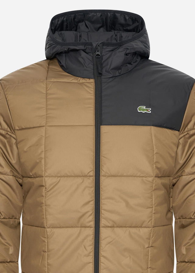 Lacoste Jacken Puffer jacket - cookie black