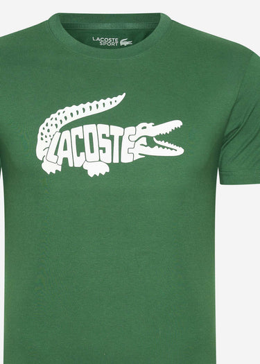 Lacoste T-shirts Tee logo - green