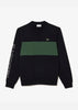 Lacoste Truien Colorblock sweater - abysm sequoia