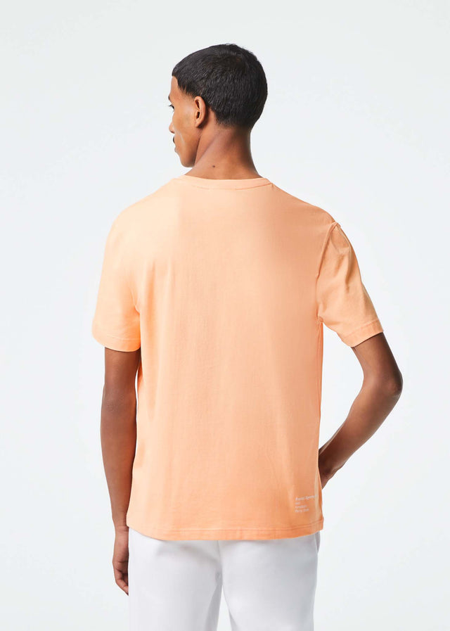 Lacoste T-Shirts Branded t-shirt - ledge