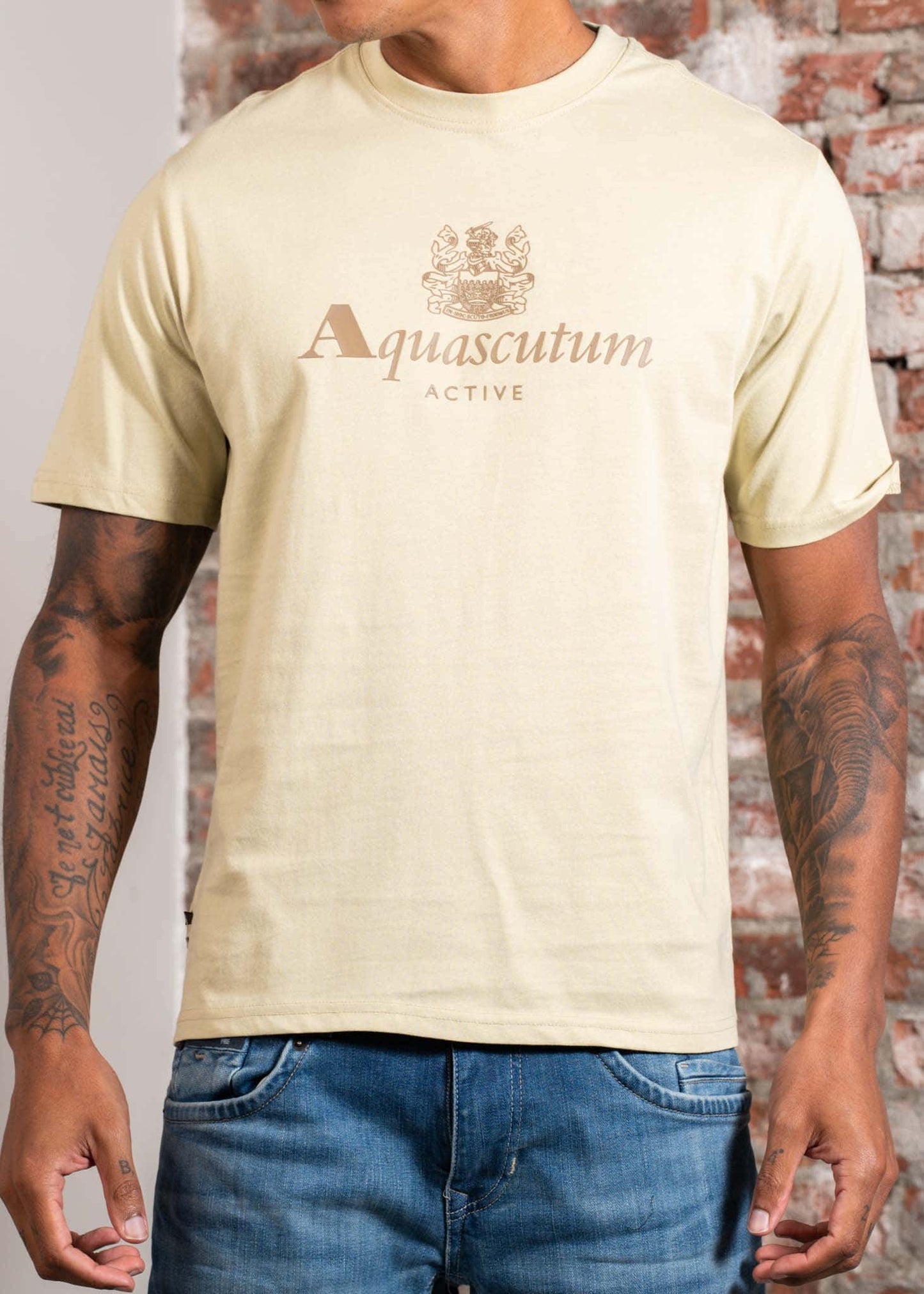 Aquascutum T-shirts Big logo t-shirt - beige