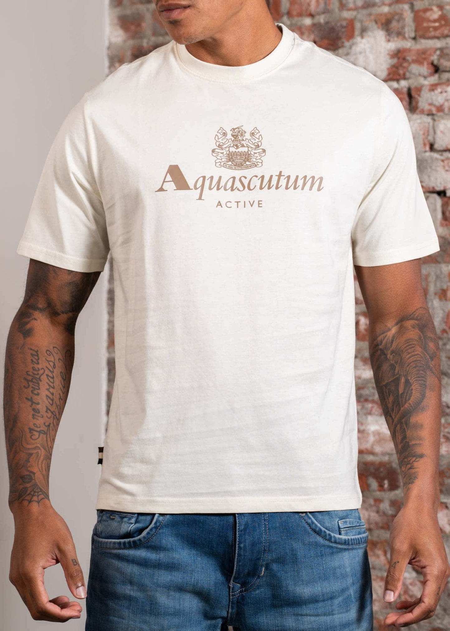 Aquascutum T-shirts Big logo t-shirt - old white