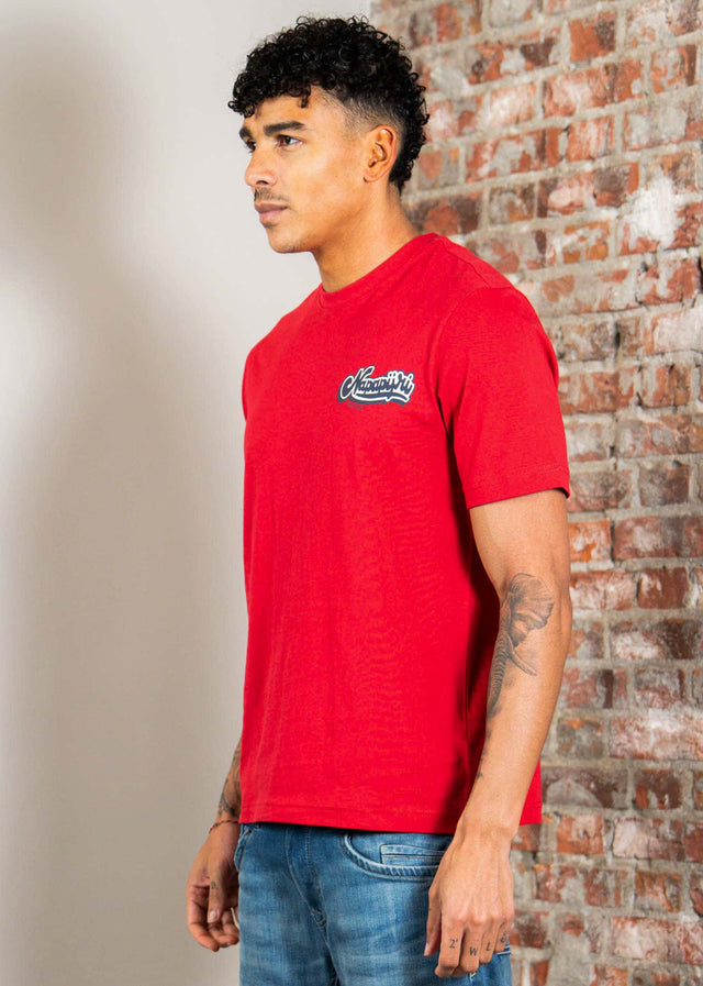 Napapijri T-Shirts S zinc ss - american b