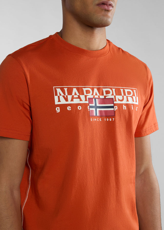 Napapijri T-Shirts Aylmer t-shirt - orange burnt