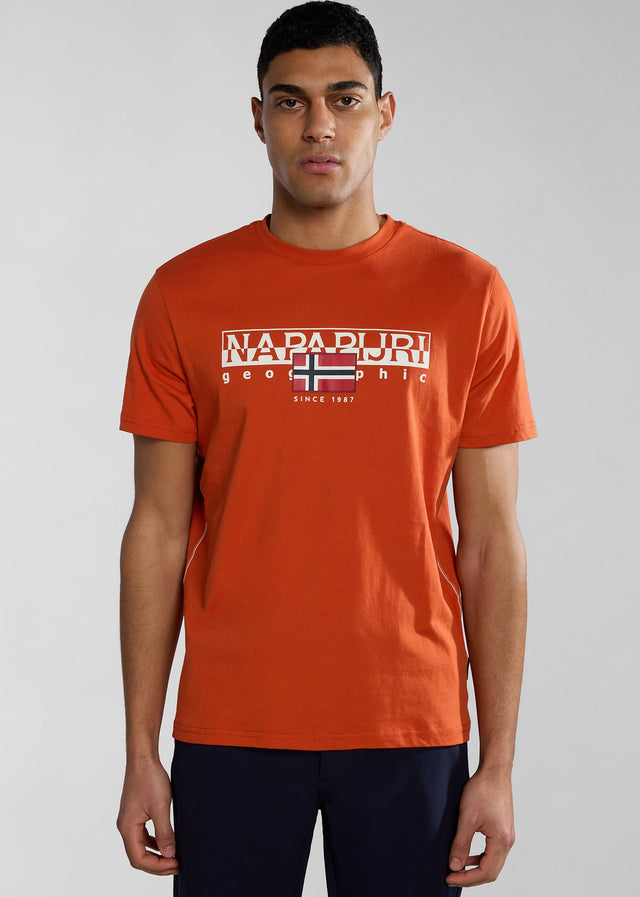 Napapijri T-Shirts Aylmer t-shirt - orange burnt