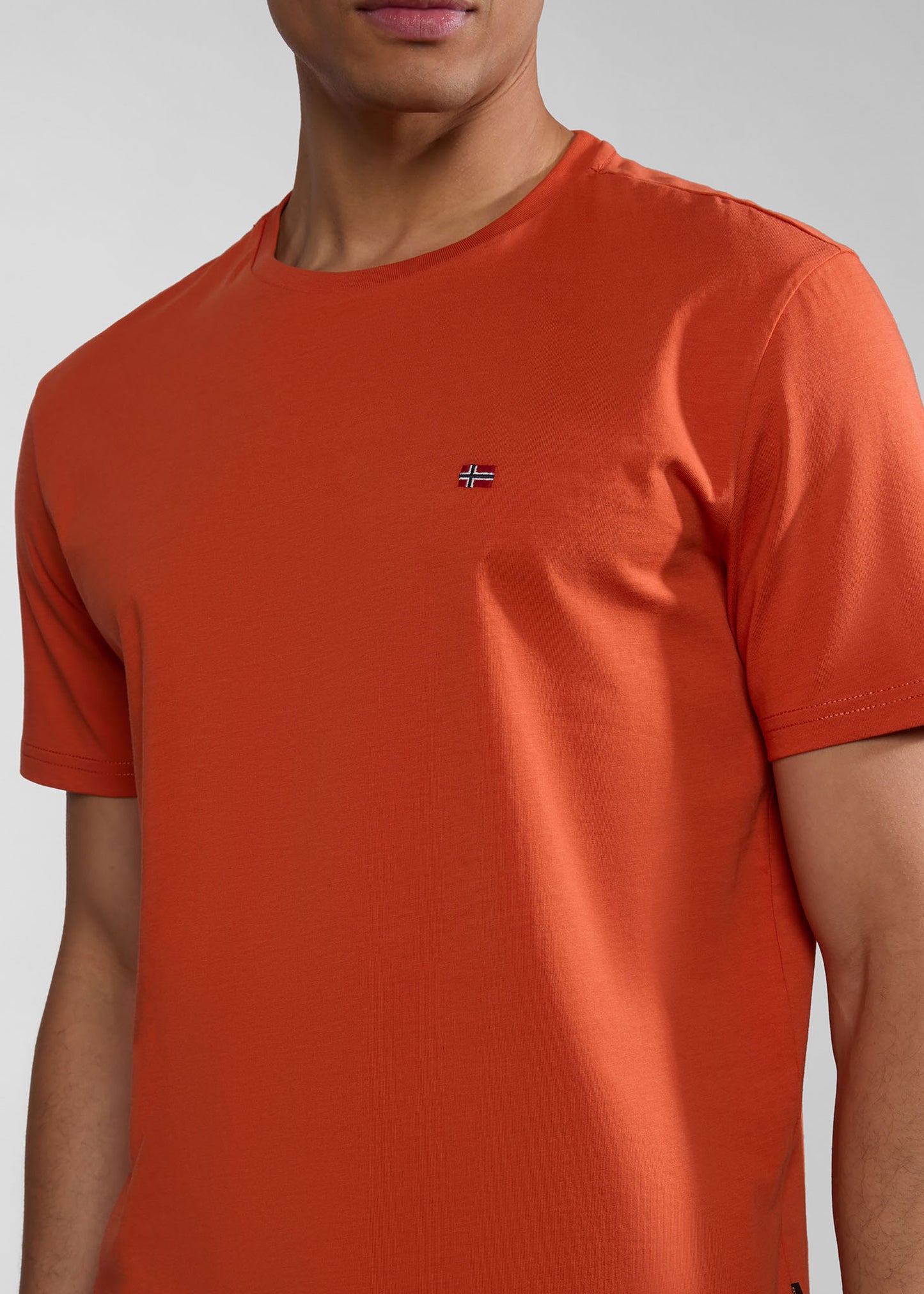 Napapijri T-shirts Salis ss sum t-shirt - orange burnt
