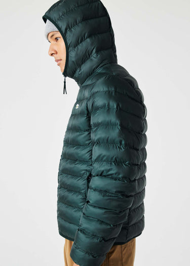 Lacoste Jassen Hooded jacket - sinople