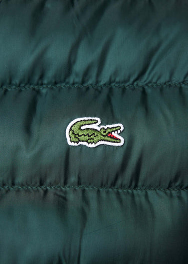 Lacoste Jassen Hooded jacket - sinople