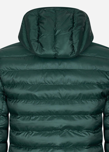 Lacoste Jassen  Hooded jacket - sinople