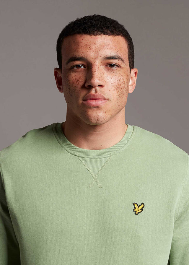 Lyle & Scott Pullover Crew neck sweatshirt - fern green