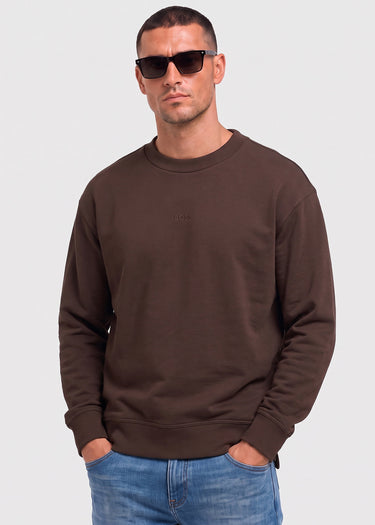 Hugo Boss Truien Wesmallcrew - brown