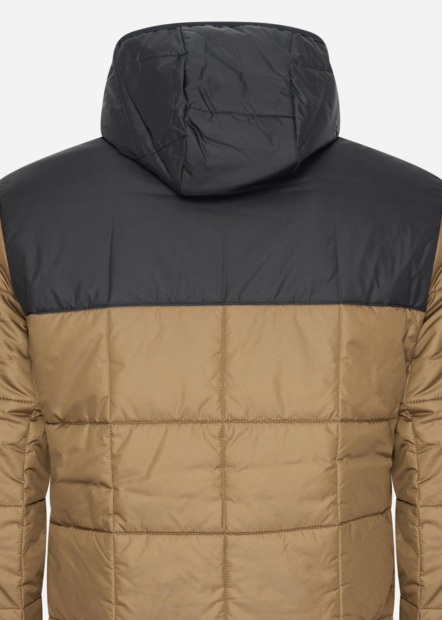 Lacoste Jacken  Puffer jacket - cookie black 