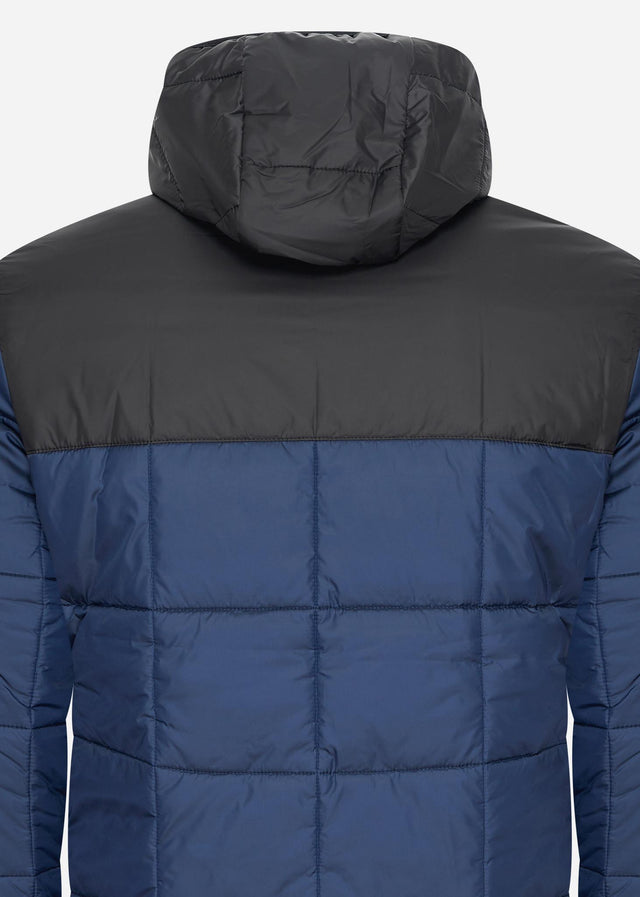 Lacoste Jacken  Puffer jacket - navy blue black 