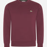 Lacoste Truien  Sweatshirt - expresso 