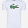 Lacoste T-shirts  Tee logo - phoenix blue green white 