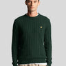 Lyle & Scott Truien  Cable jumper - dark green marl 
