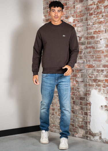 Lacoste Truien Sweater core - port