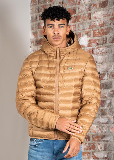 Lacoste Jassen Puffer jacket - dark tate