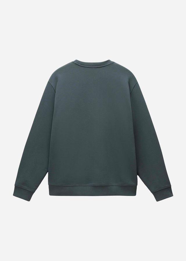Napapijri Pullover  Albula crewneck sweater  - green urban 