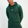 Ellesse Hoodies  Pershuta oh hoody - dark green 