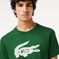 Lacoste T-shirts  Tee logo - green 
