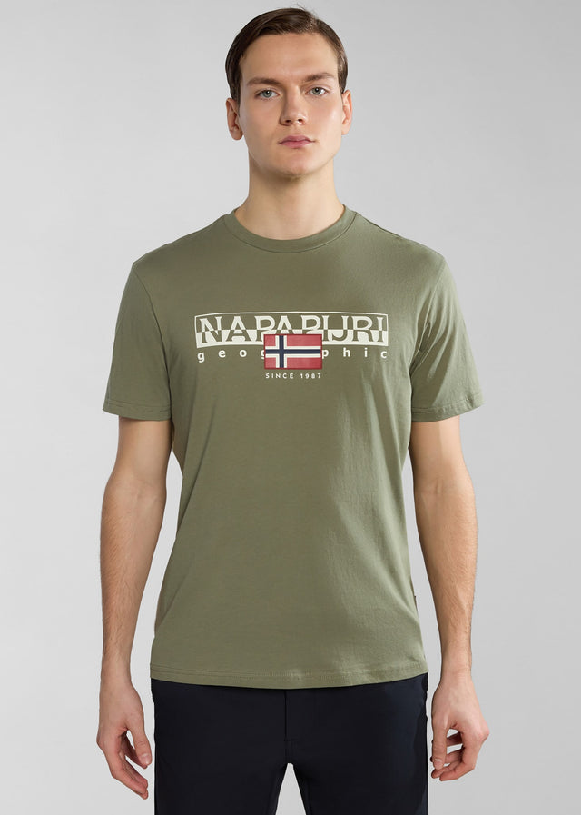 Napapijri T-Shirts  Aylmer t-shirt - green lichen 