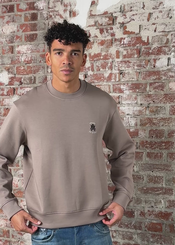 Armani Exchange Truien Felpa sweatshirt - driftwood