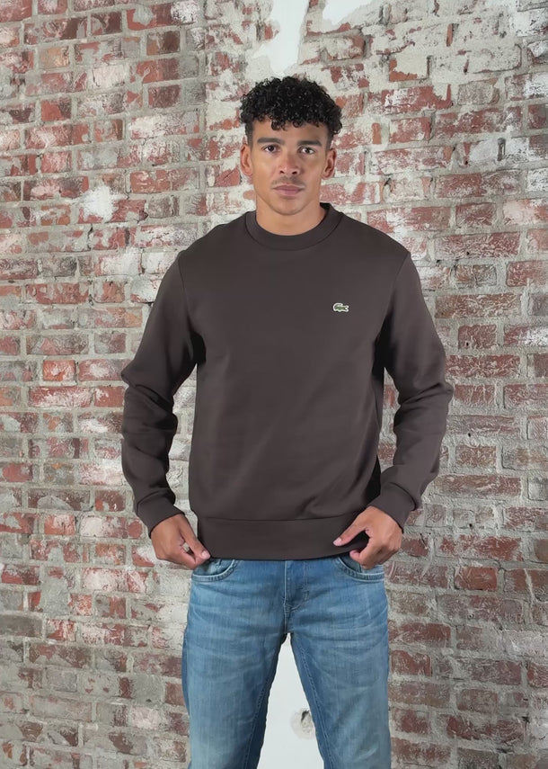 Lacoste Truien Sweater core - port