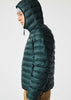 Lacoste Jassen  Hooded jacket - sinople 