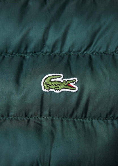 Lacoste Jassen  Hooded jacket - sinople 