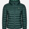 Lacoste Jassen  Hooded jacket - sinople 