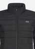 Lacoste Jassen  Wadded jacket - black black 