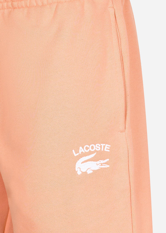 Lacoste Shorts  Branded shorts - ledge 