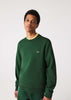 Lacoste Truien  Sweater - green 