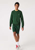 Lacoste Truien  Sweater - green 