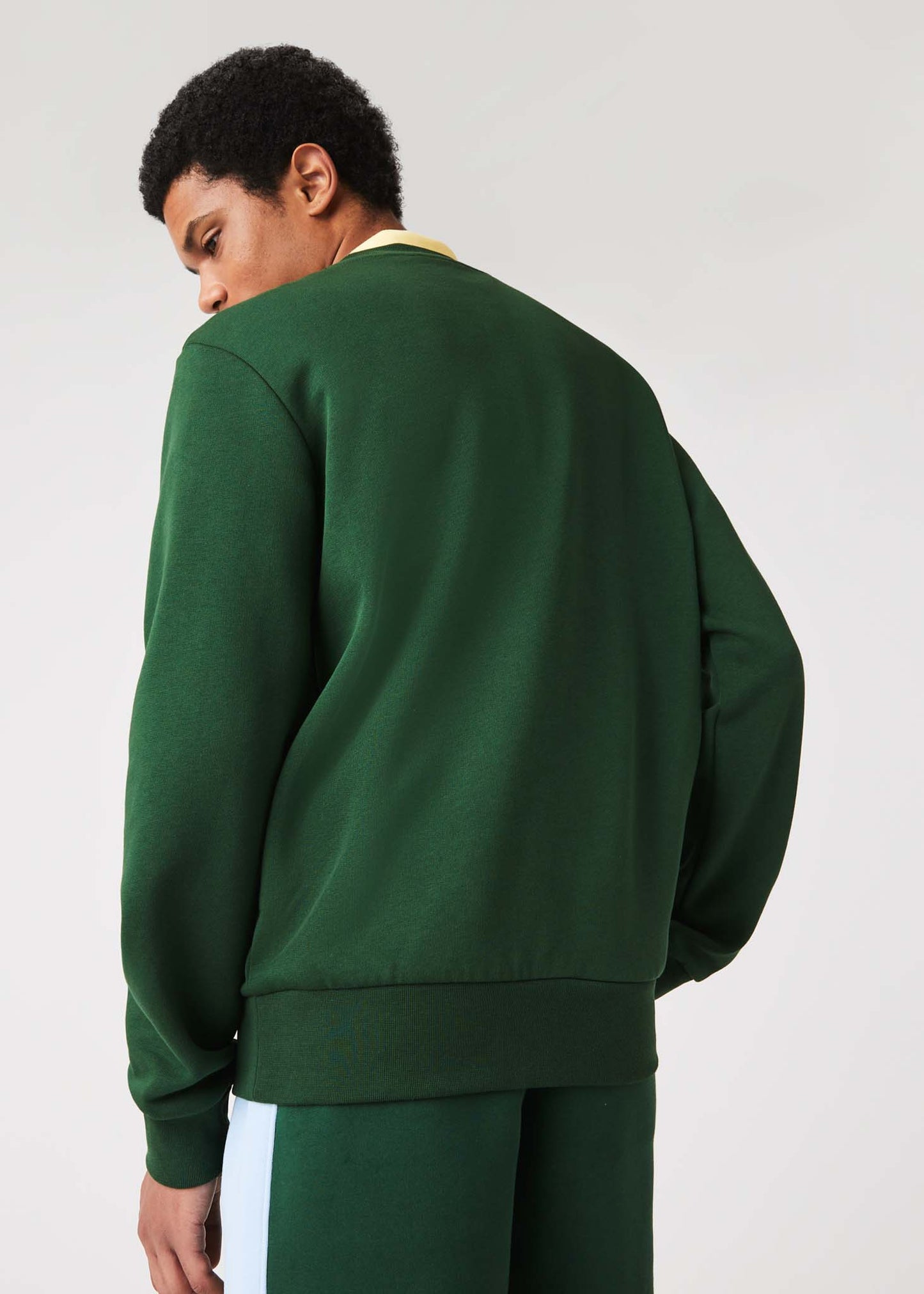 Lacoste Truien  Sweater - green 