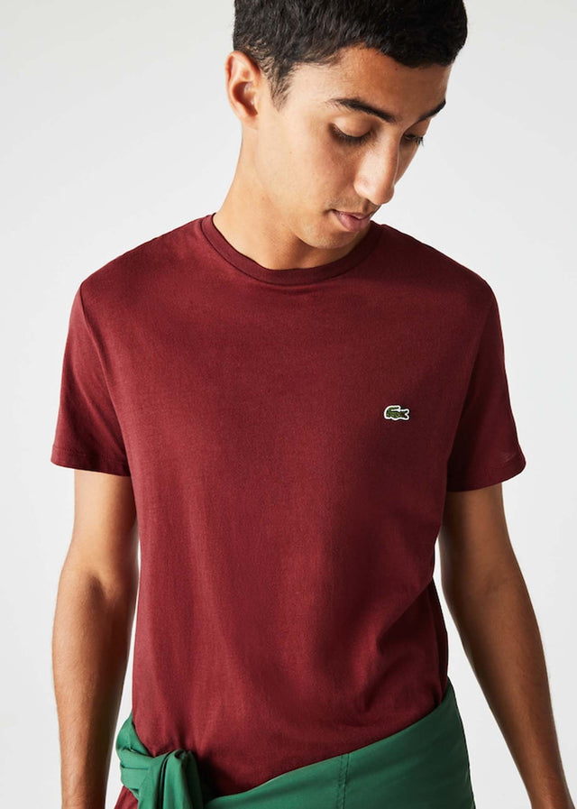 Lacoste T-Shirts  T-Shirt - cranberry 